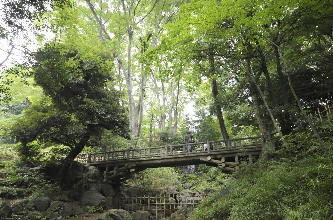 Parque Memorial Arisugawa-no-miya