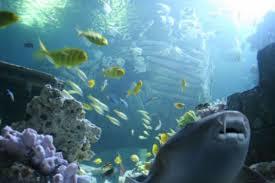 Sea Life de Múnich