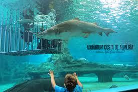Aquarium Roquetas de Mar