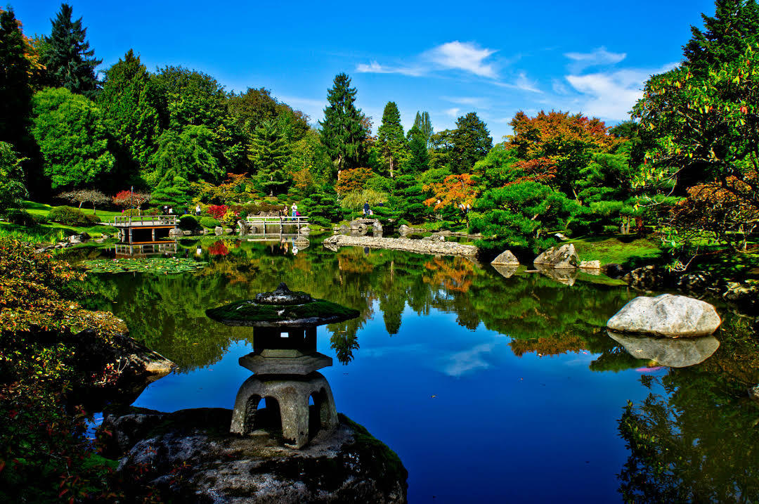 Jardín japonés