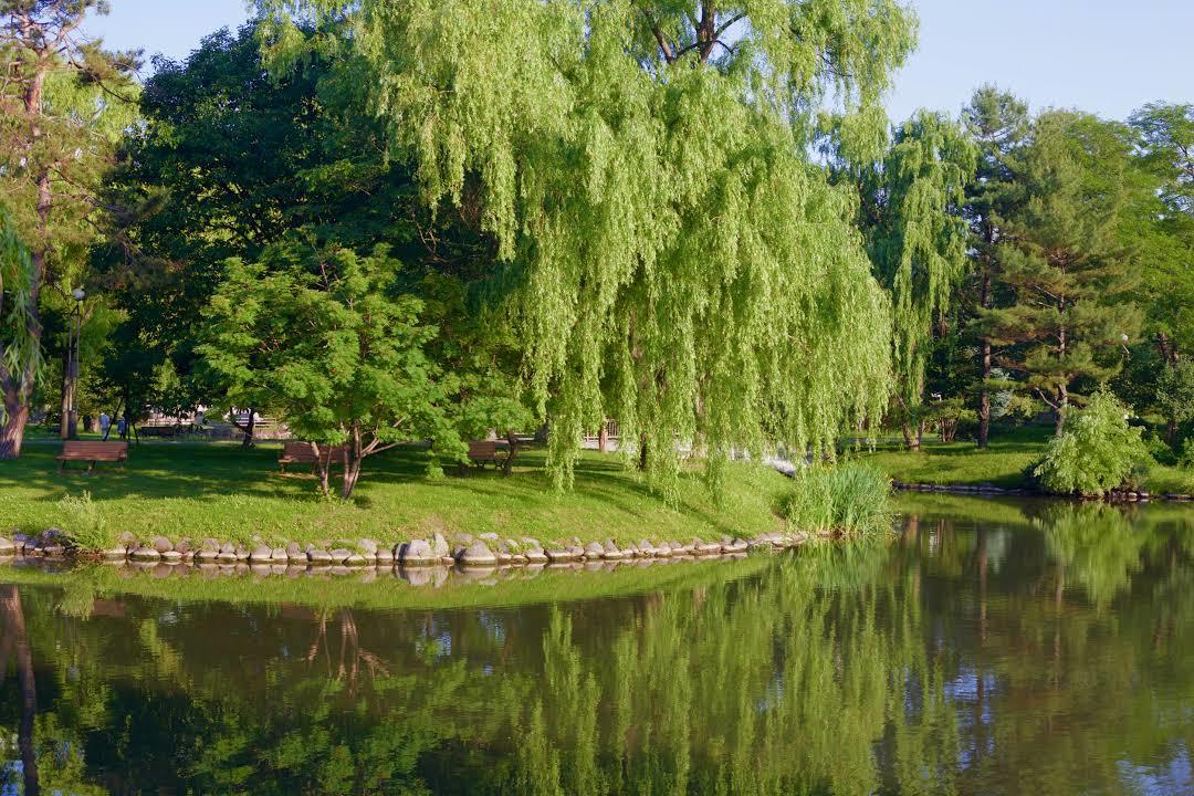 Nakajima Park