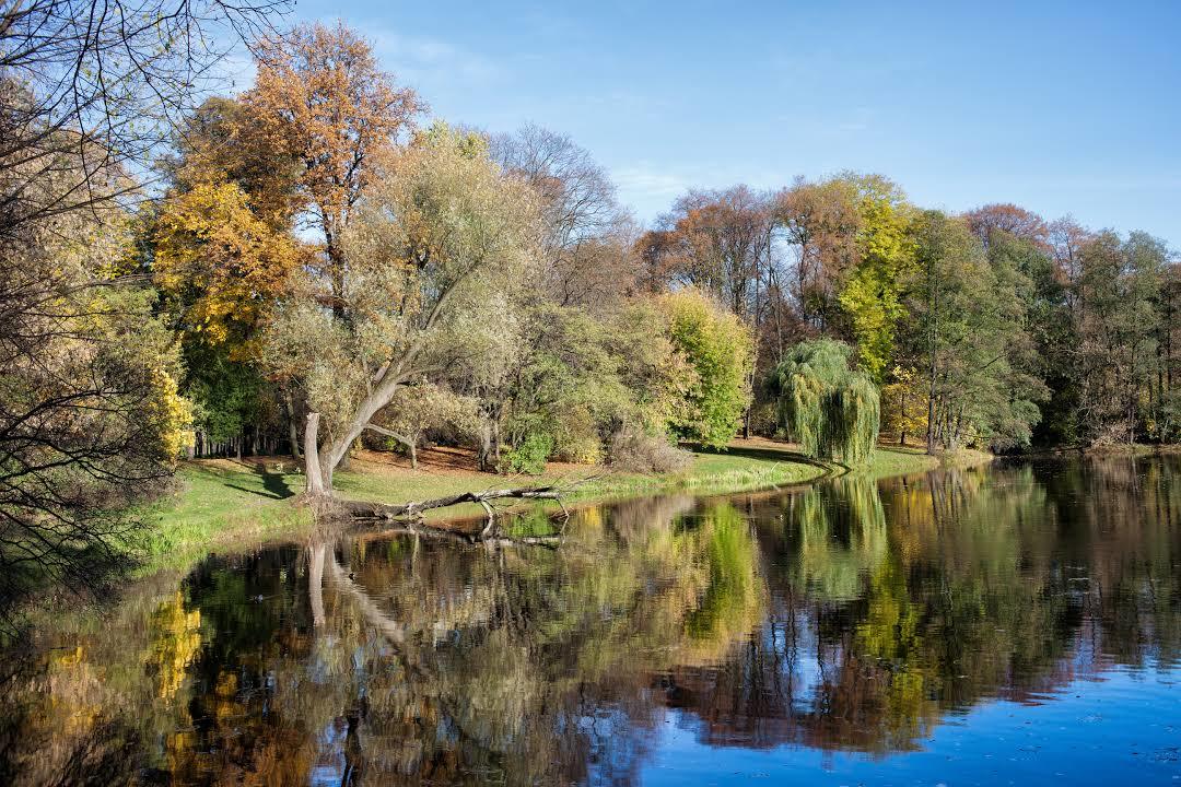 Skaryszewski Park