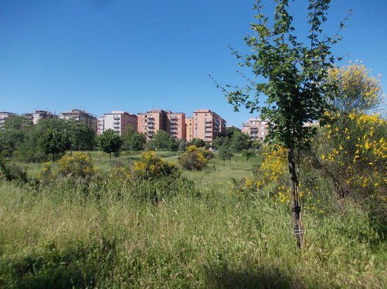 Parco Delle Valli