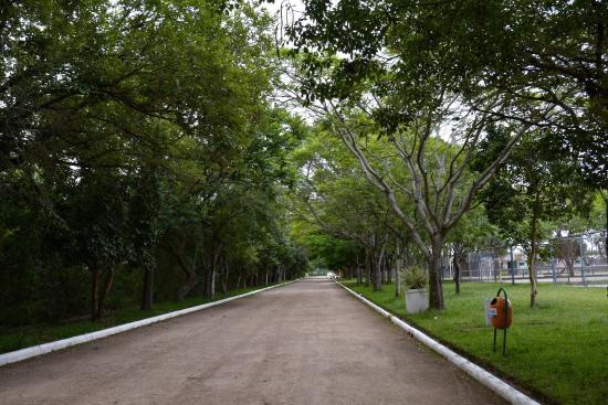 Parque Esportivo Eduardo Gomes