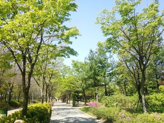 Floresta de Seoul