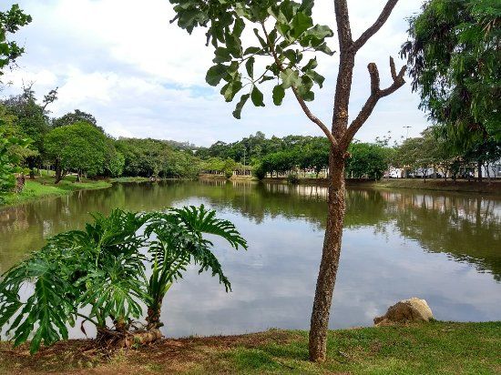 Parque dos Lagos