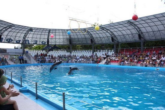 Odesos miesto delfinariumas