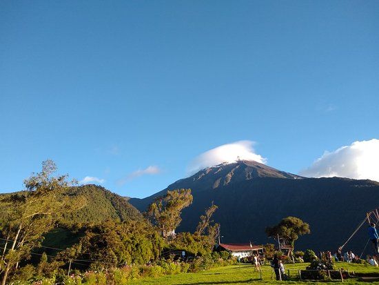 La Casa del Arbol