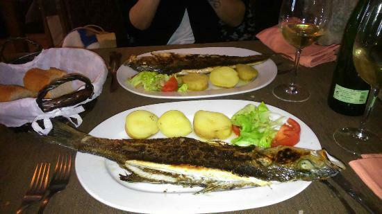 Taberna O Secreto