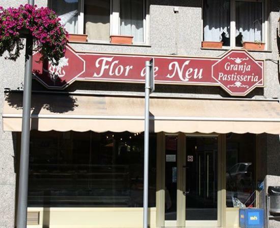 Flor de Neu