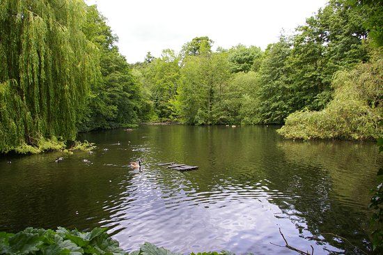 Waterlow Park