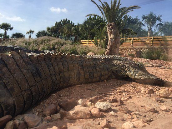 Crocoparc