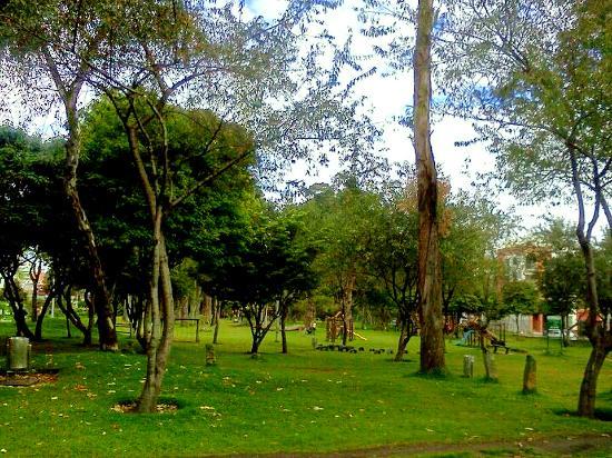 Parque Cedro Salazar