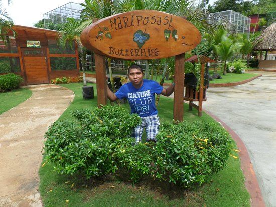 Safaricks Zoologico