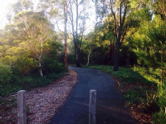 Malvern Urban Forest