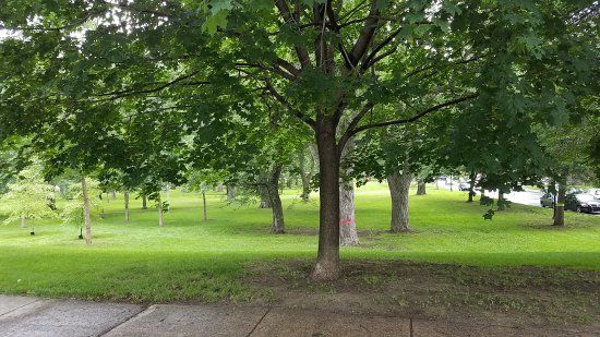 Marguerite Bourgeoys Park