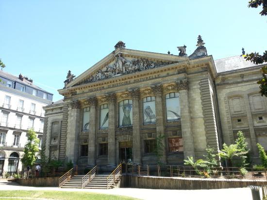 Museo de Historia Natural de Nantes