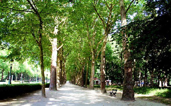 Elisabeth Park