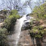 Vitapan