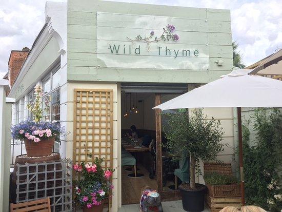 Wild Thyme