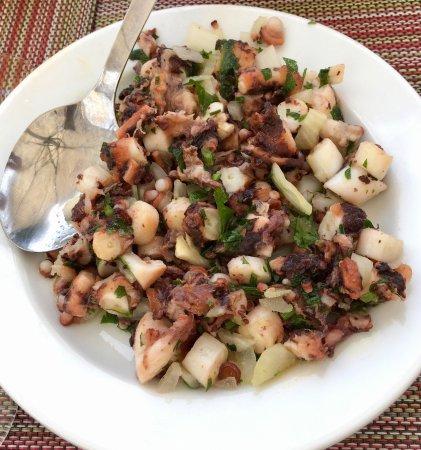 Tapa Latina