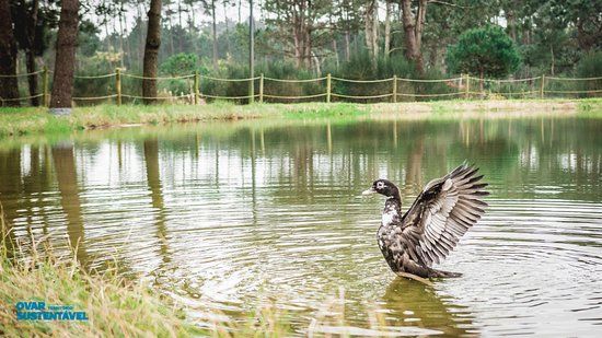 Parque Ambiental do Buçaquinho