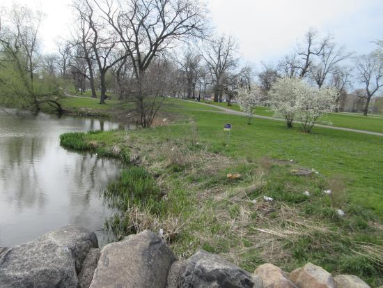 Douglas Park