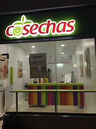 Cosechas Puente Largo