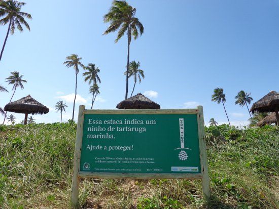 Piscinas Naturais