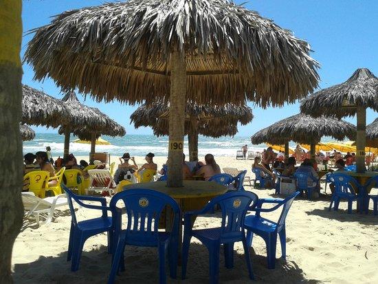 Barraca Hawaii