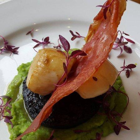 Olive Branch Bistro