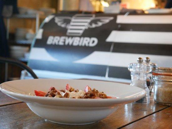 Brewbird