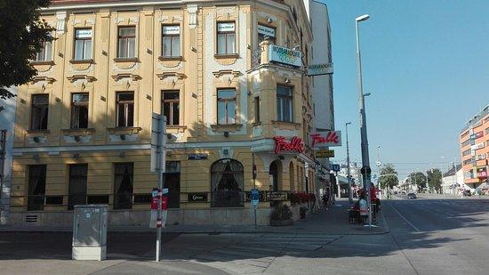 Cafe Falk