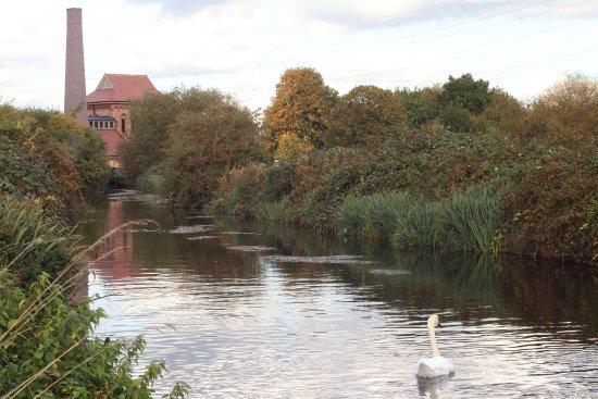 The Larder at Walthamstow Wetlands