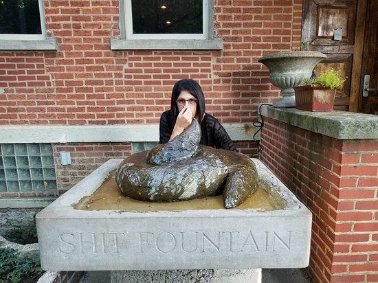 Shit Fountain