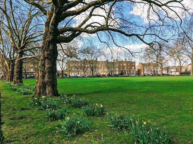 Highbury Fields