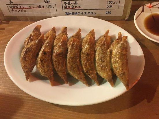 Kochi Meibutsu Yatai Gyoza Ebisu No Yasubee