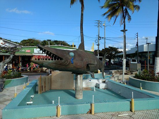 La Barracuda