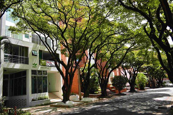 Ivy Laureles Apts, Cowork & Wellness - Medellin Massages