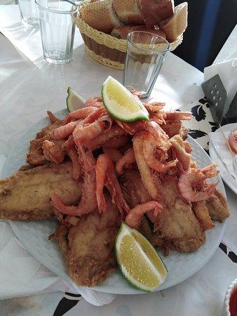 Hamada Fish