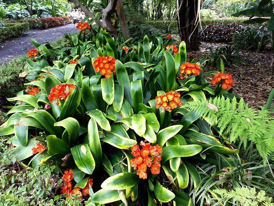 Botanical Garden