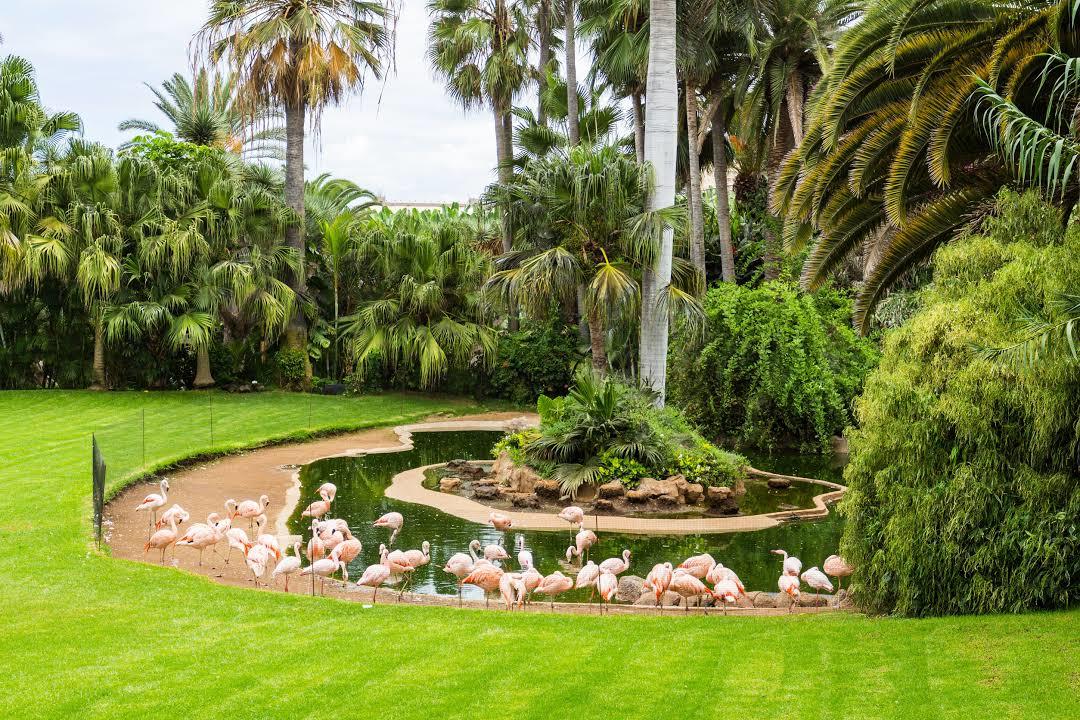 Loro Park