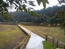 Laguna Fraijanes