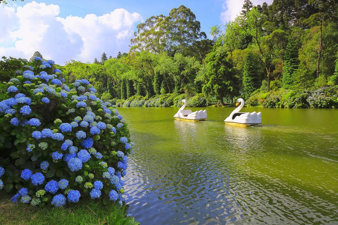 Lago Negro
