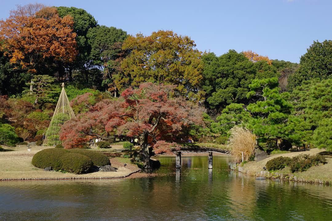 Jardín Rikugien