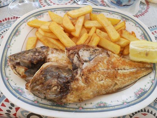 Pescaderia Freiduria Isla Plana