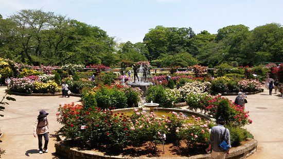 Parque Satomi
