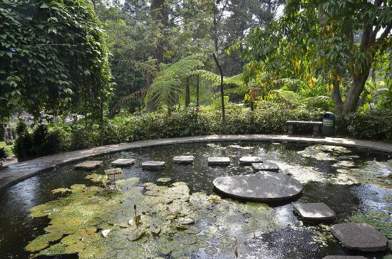 Jardin Botanico La Laguna