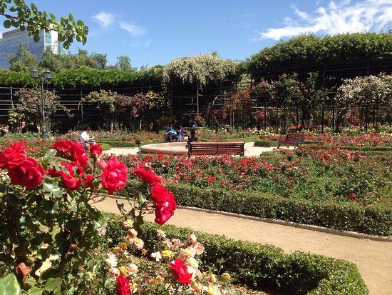 Parque Araucano