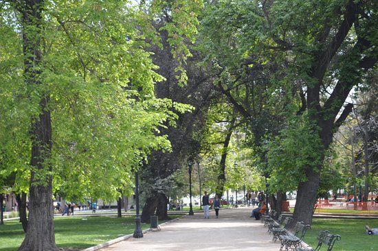 Parque Forestal